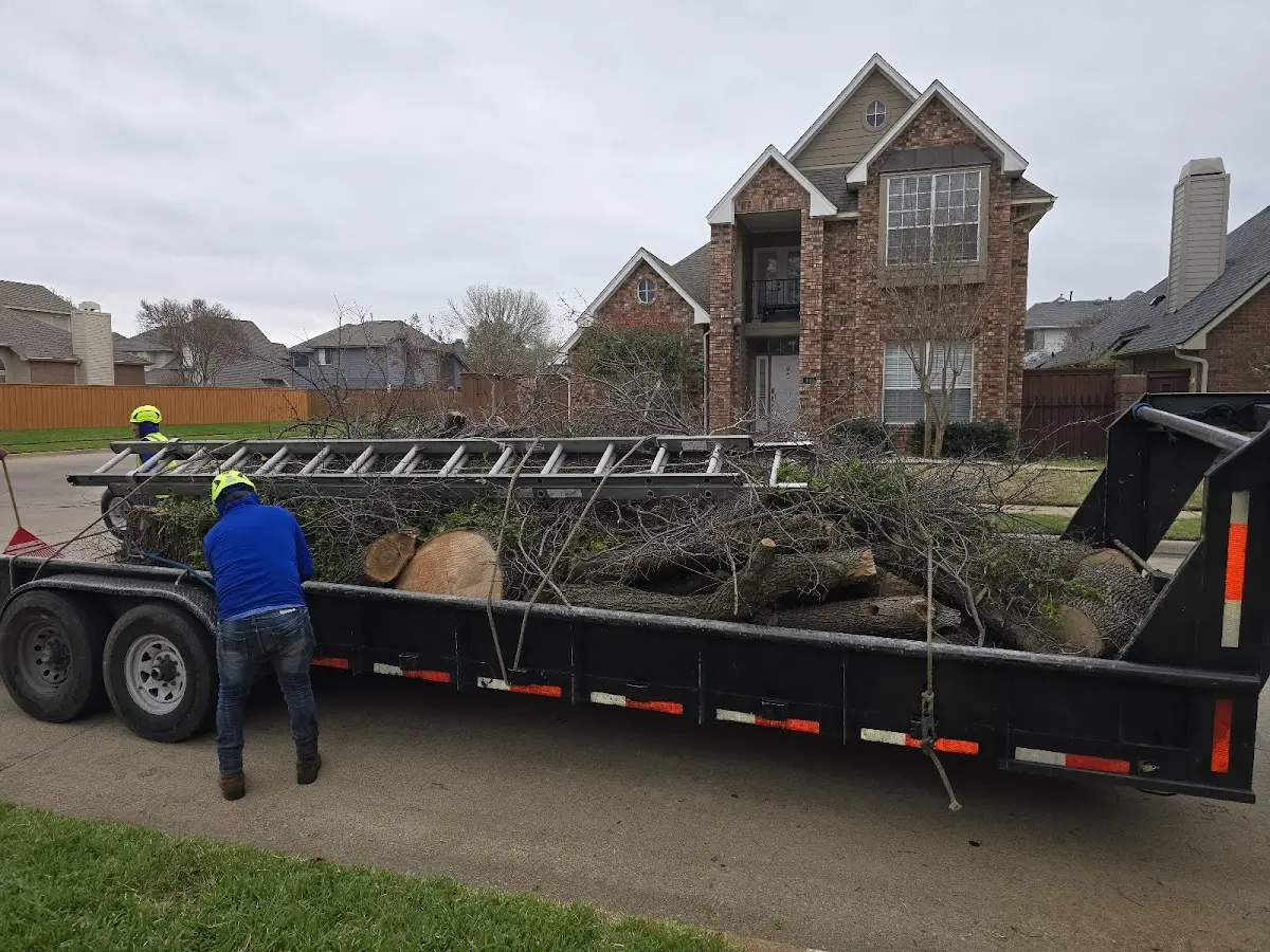 Expert Tree Pest Control with proper safety equipment in Shellsburg
